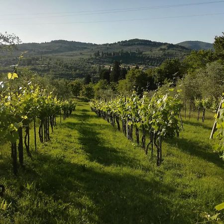 بانيو أَ ريبولِ Villa Storica Di Majano المظهر الخارجي الصورة