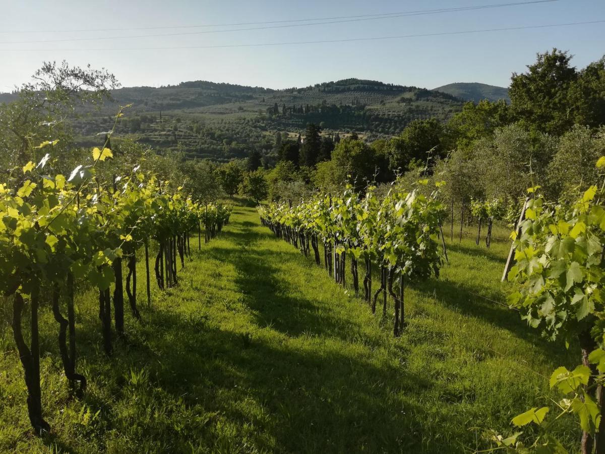 بانيو أَ ريبولِ Villa Storica Di Majano المظهر الخارجي الصورة